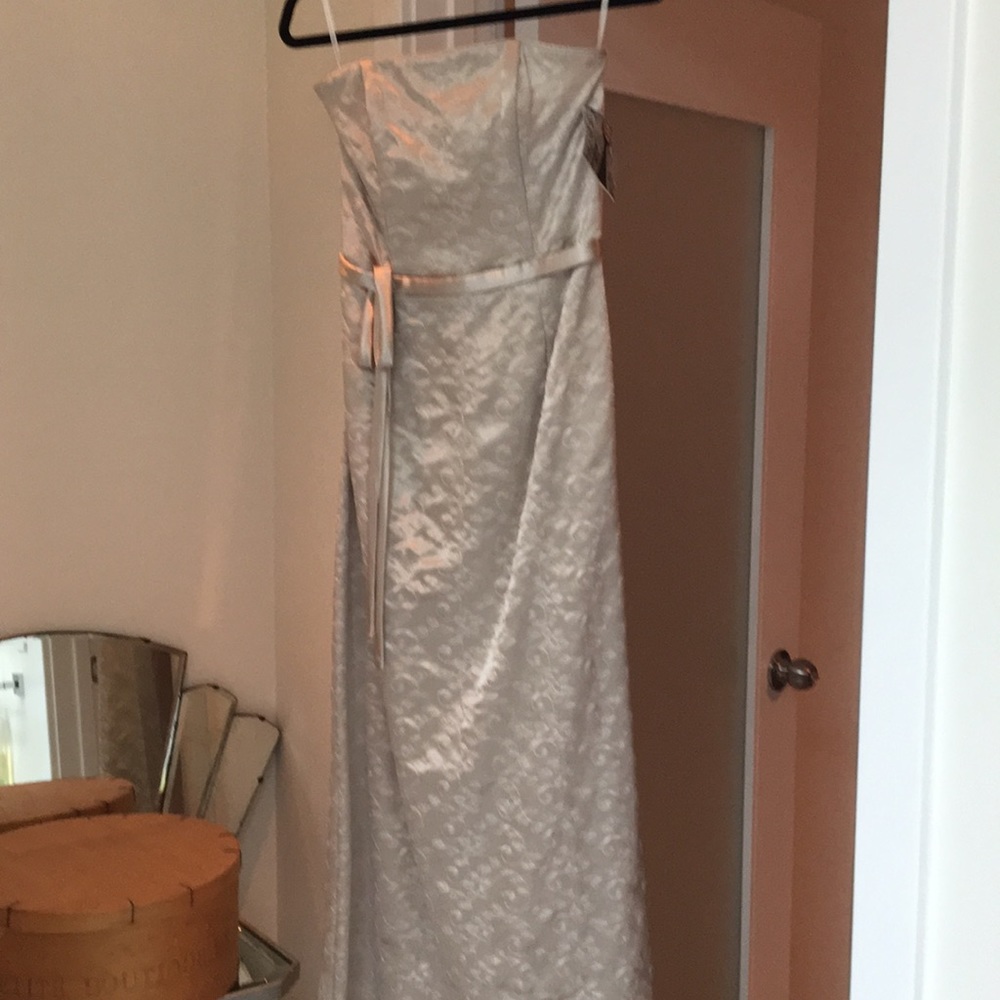 Jessica McClintock Dress